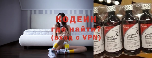 молекула духа Алзамай