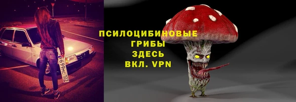 молекула духа Алзамай