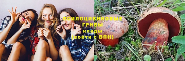 гидропоника Алексеевка