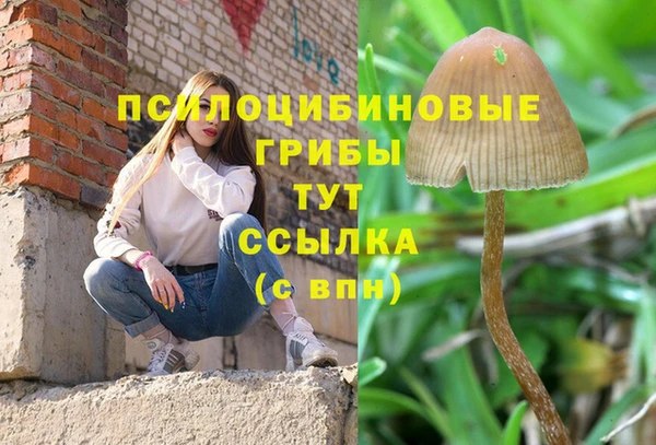 гидропоника Алексеевка