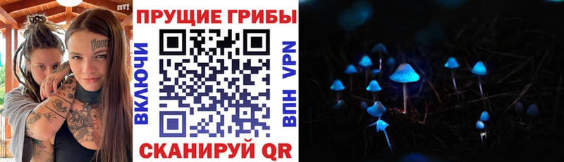 Псилоцибиновые грибы GOLDEN TEACHER  даркнет наркотические препараты  Арамиль 